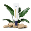 CUSKIN regeneruojamasis veido kremas su keramidais ir ektoinu, 35ml