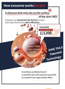 NINE TAILS egzosomų kremas su SPF50+ ir mėlynosios šviesos apsauga, 50ml